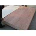 18mm cheap hardwood bintangor plywood